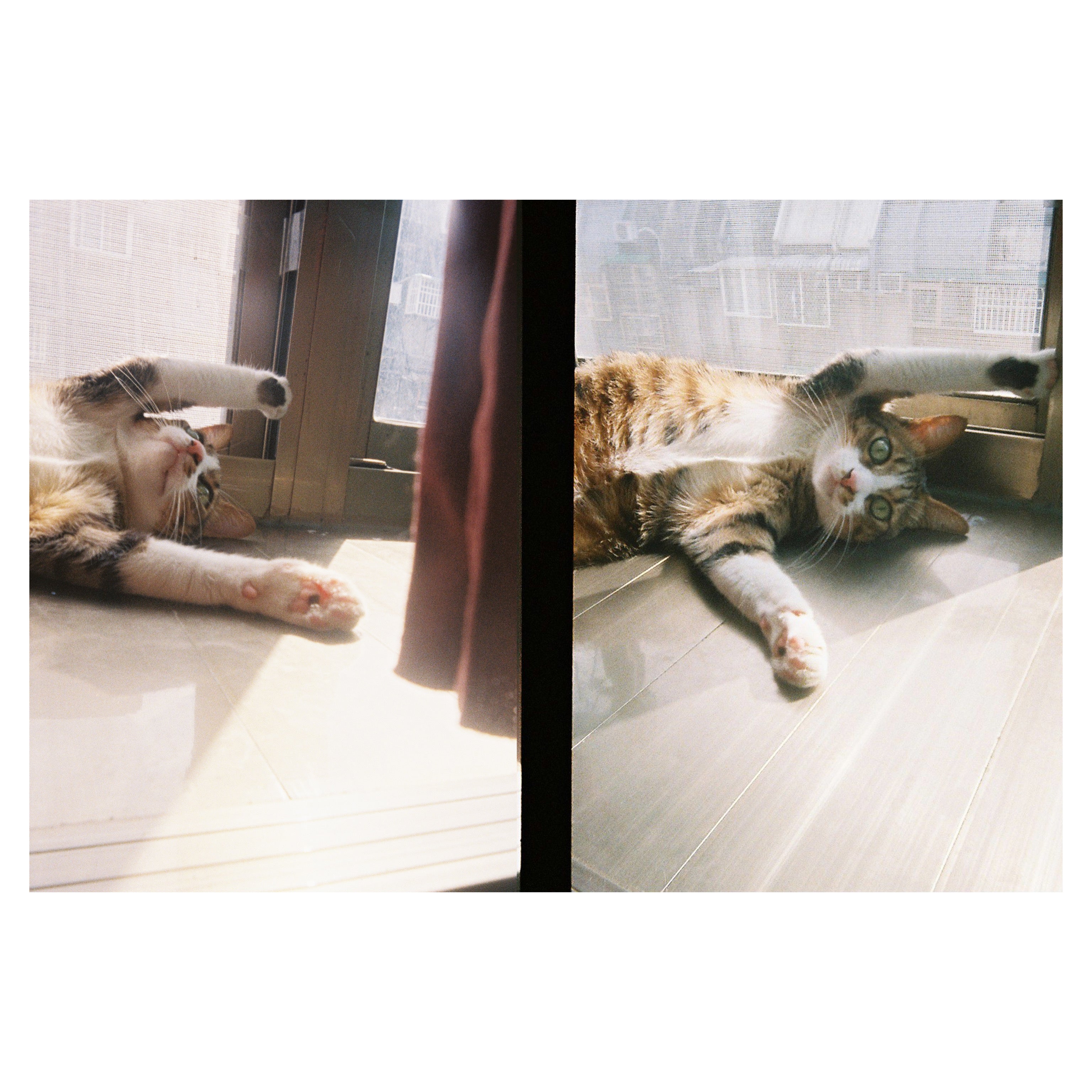 KODAK EKTAR H35<br/> Half Frame Film Camera