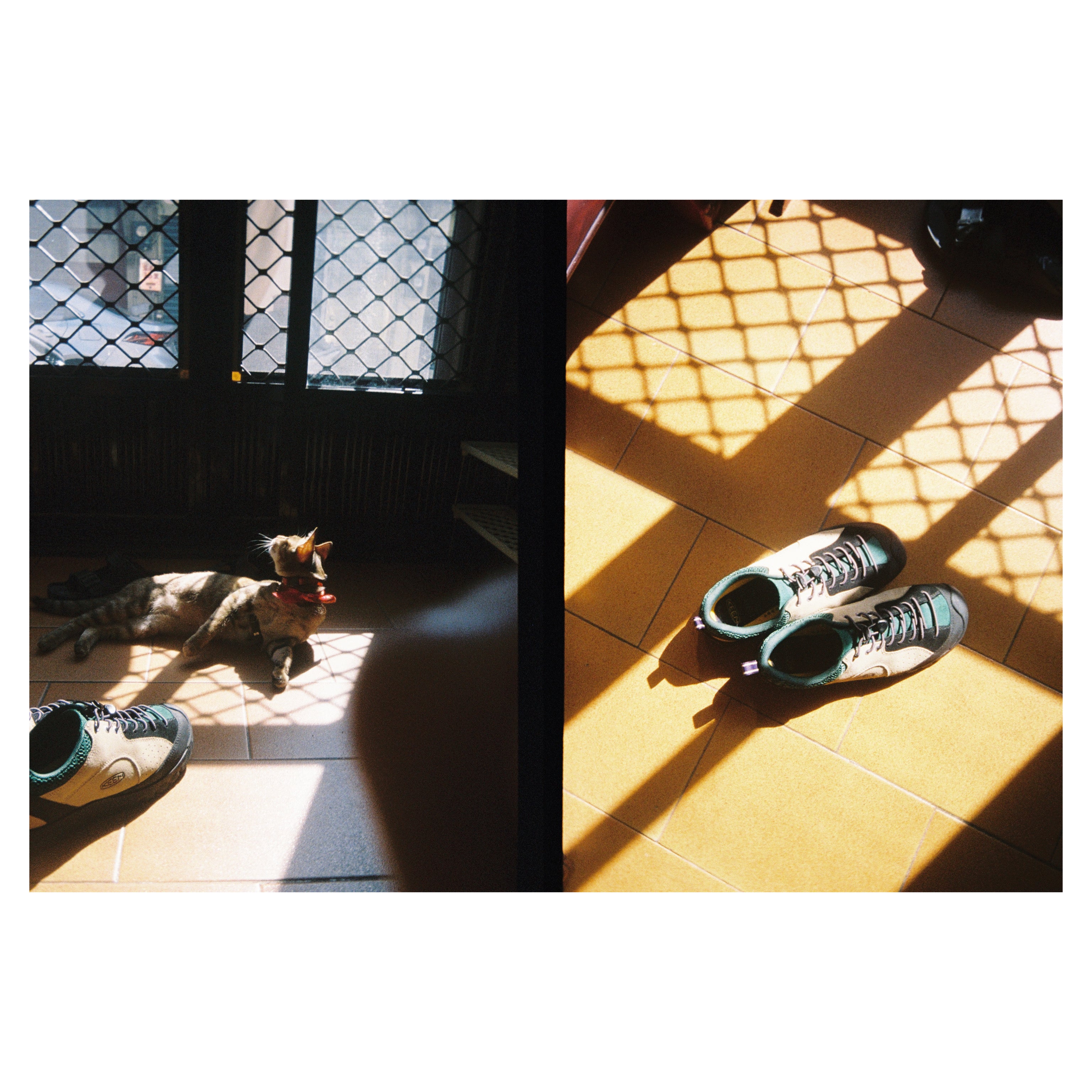 KODAK EKTAR H35<br/> Half Frame Film Camera