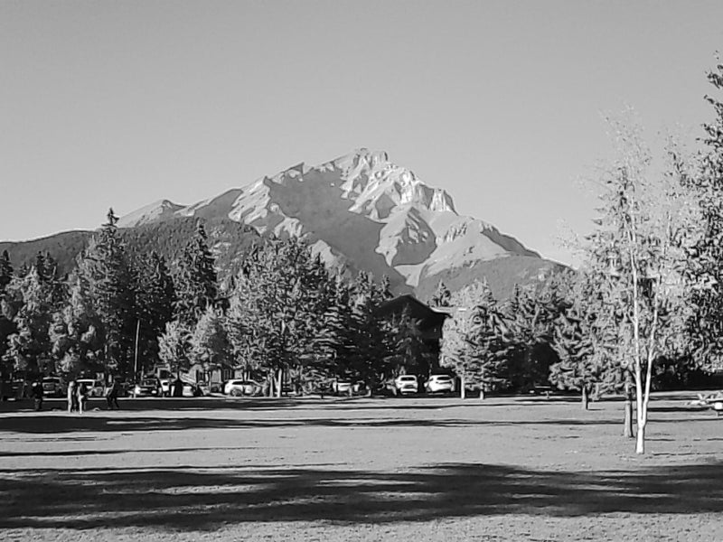 B&W filter