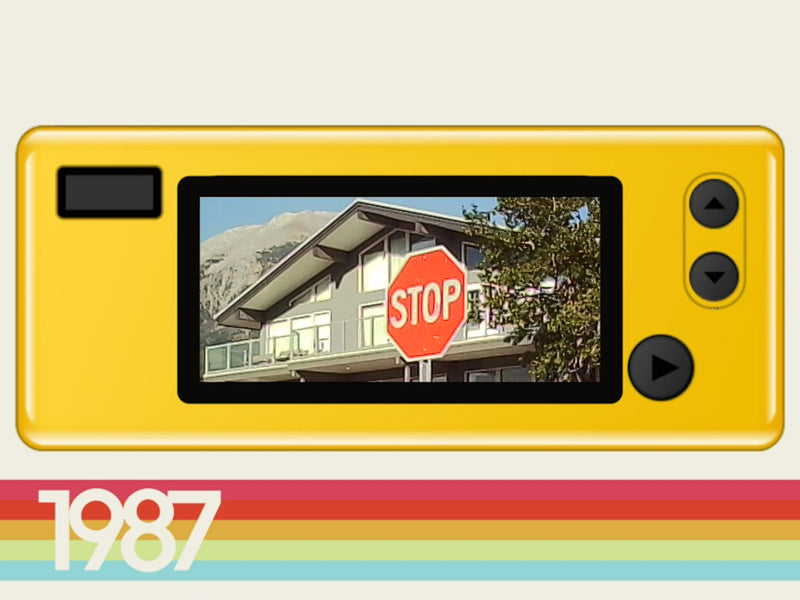 1987 frame
